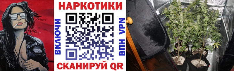 Купить наркотики цена Мариинск Конопля omg ССЫЛКА ГАШИШ А ПВП