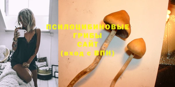 трава Верхний Тагил