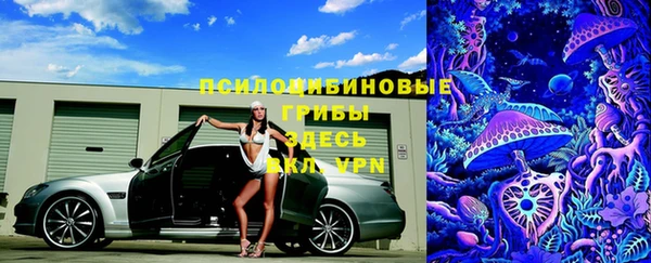 трава Верхний Тагил