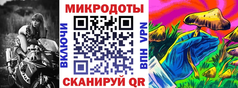 Галлюциногенные грибы Psilocybine cubensis  Мариинск 